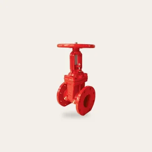 OS & Y Gate Valve